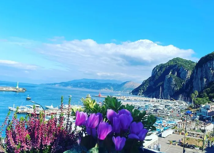 La Baia Di Napoli Capri