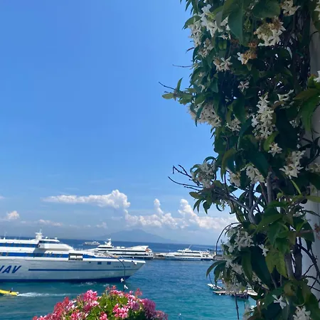 La Baia Di Napoli 公寓 卡普里